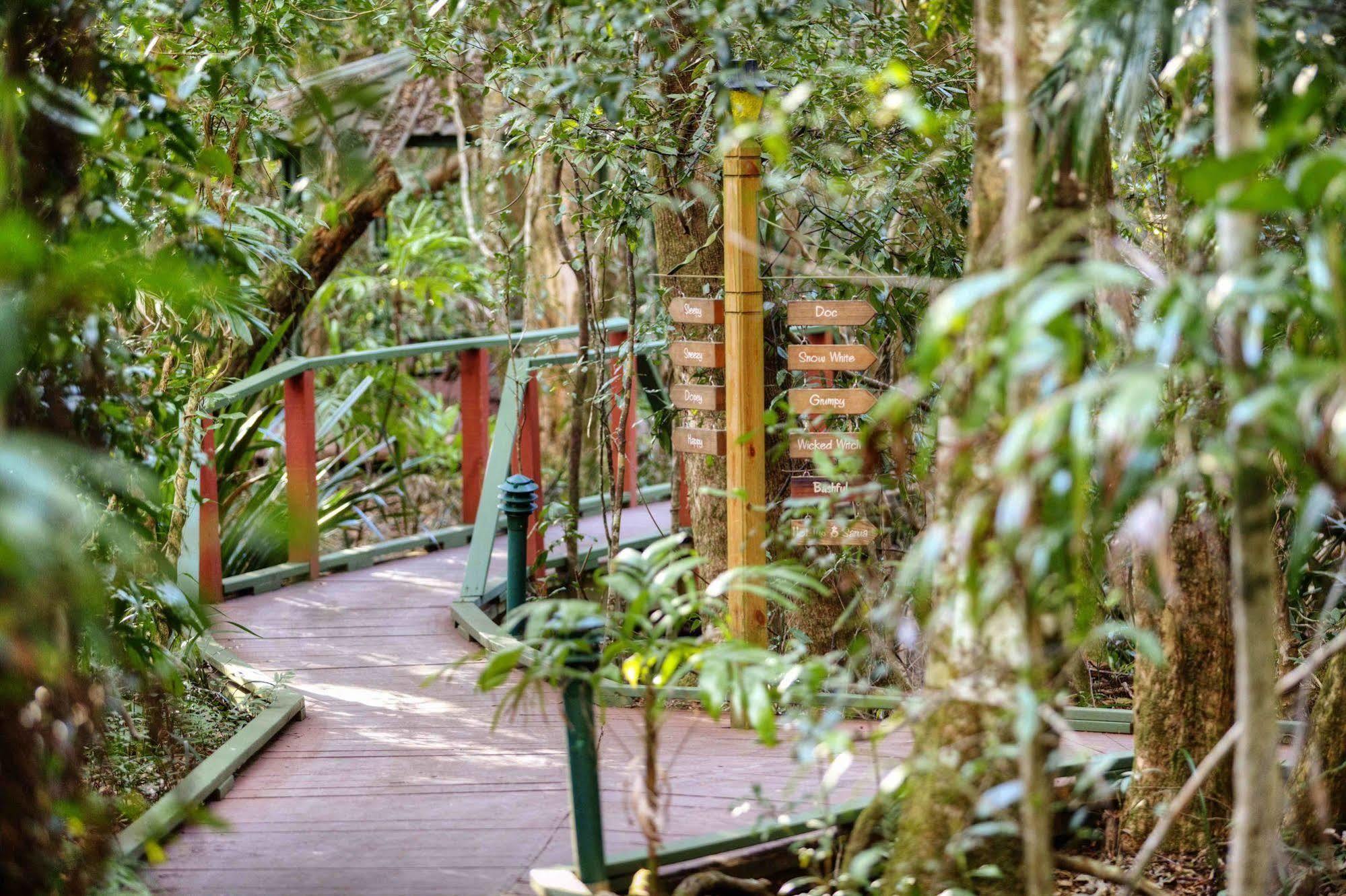 The Mouses House Rainforest Retreat Springbrook Exterior foto